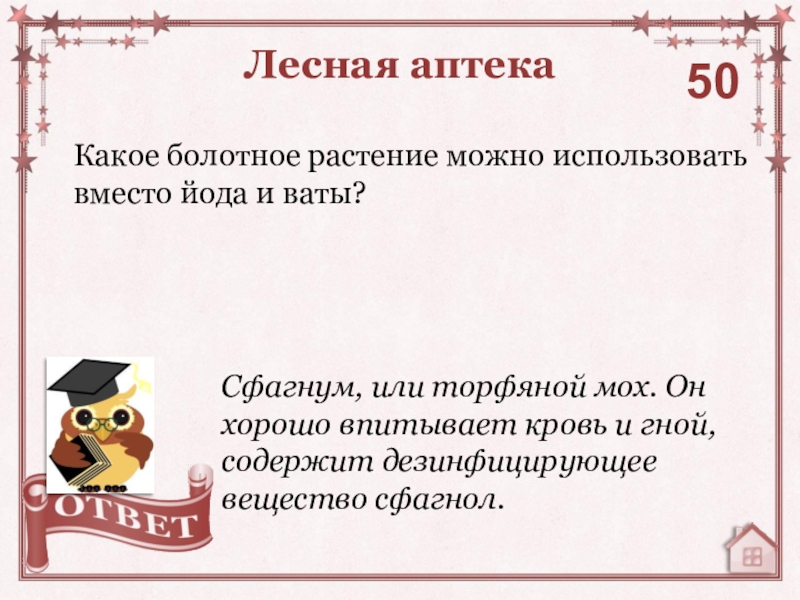 Вместо йода. Какое Болотное растение можно использовать вместо йода и ваты. Что используют вместо йода. Растение ийда какое Болотное можно использовать вместо йода.