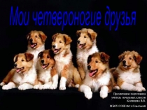 Презентация для внеклассного занятия Четвероногие друзья