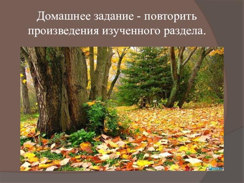 Пришвин осеннее утро текст. М М пришвин осеннее утро. Осенний лес произведение. Пришвин осень. Презентация пришвин осеннее утро.