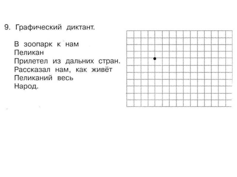 Фото графических диктантов