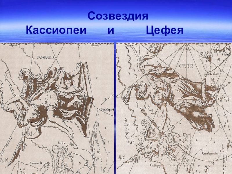 Созвездие цефей какая звезда. Цефея и Кассиопея Созвездие. Созвездие Кассиопеи. Созвездие Кассиопея контур. Контуры Кассиопеи.