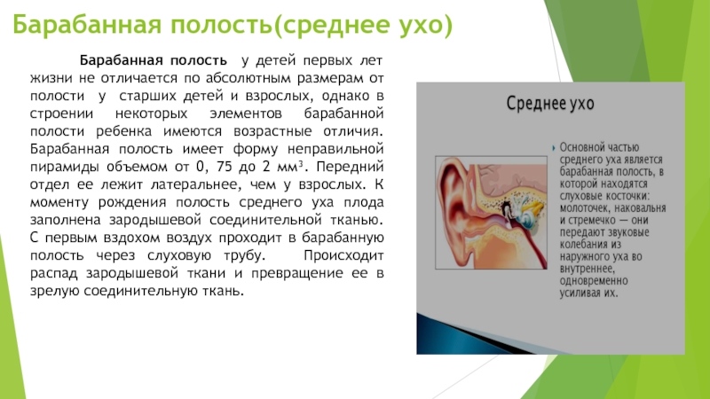 Полость заполненная воздухом в ухе. Функции полости среднего уха человека. Функции барабанной полости среднего уха. Ухо барабанная полость. Барабанная полость заполнена.