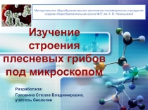 Презентация по биологии на тему Изучение строения плесневых и дрожжевых грибов (5 класс)