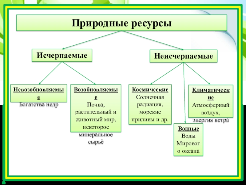 Возобновляемые природные ресурсы презентация