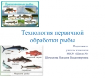 Презентация по технологии  Технология первичной обработки рыбы (6 класс).
