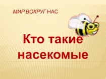 Презентация по окружающему миру Кто такие насекомые