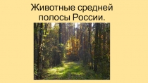 Животные средней полосы России