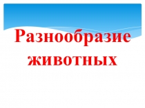 Разнообразие животных 2 класс окружающий мир