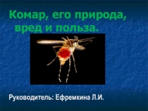 Презентация проекта по окружающему миру Комар: вред или польза