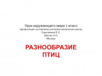 Презентация по окружающему миру по теме: Разнообразие птиц