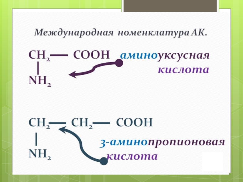 Презентация по химии аминокислоты и белки