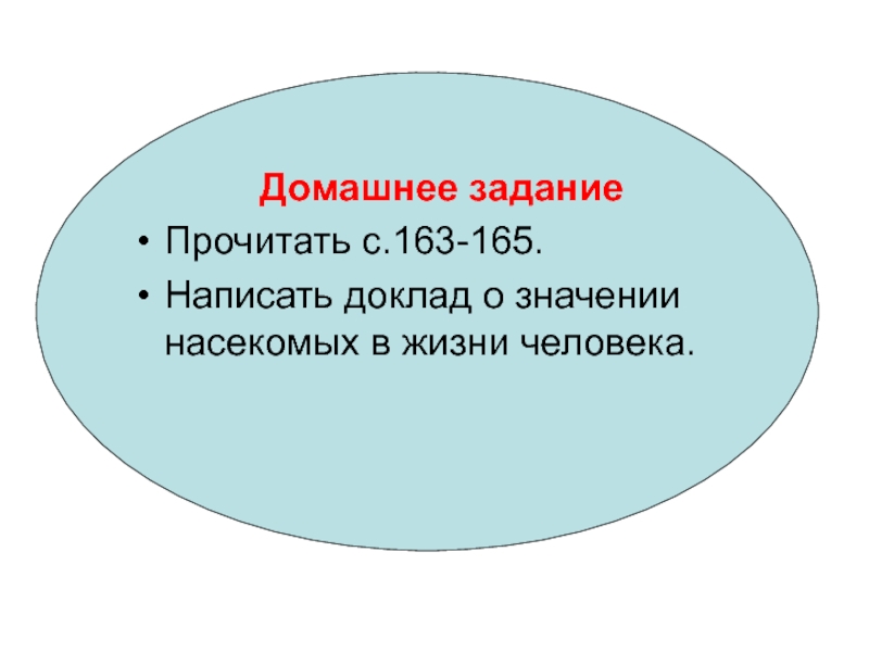 Доклад значение жизни человека. Вывод о направлении эволюции насекомых.