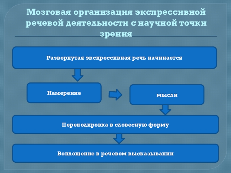 Организация речи. Мозговая организация речи. Мозговая организация речевой деятельности. Мозговая организация речевой деятельности говорения. Расстройство экспрессивной речи.