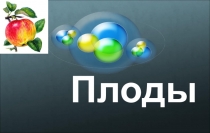 Презентация к уроку биологии по теме: Плод.