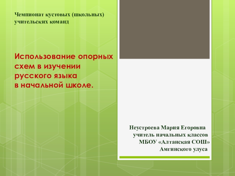 Использование опорных схем в изучении русского языка