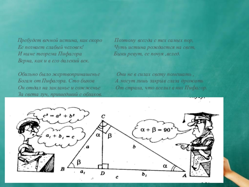 Пифагор смешные картинки