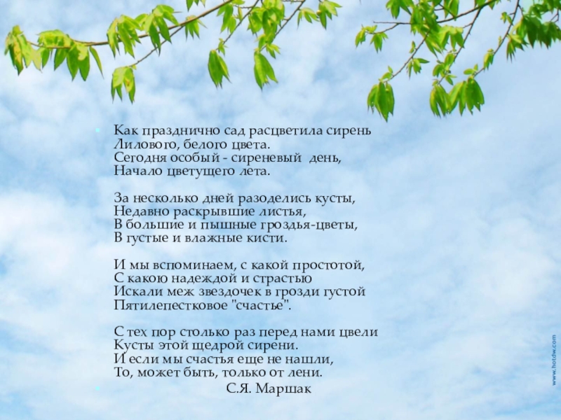 Рождественский береза стихотворение. Всеволод Рождественский береза. Рождественский русская природа стих. Стихотворение русская природа Рождественский. Стих берёза Рождественский.