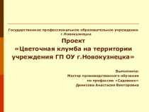 Презентация Проект альпийской горки