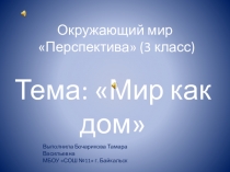 Презентация по окружающему миру по теме Из чего состоит всё(3 класс) Перспектива