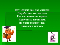 Презентация по биологии Структура и функция хромосом.