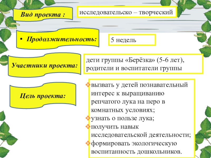 Исследовательско творческий проект