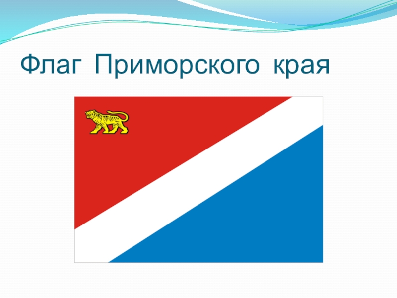 Края флаги. Флаг Приморского края. Флаг приморскоготкрая. Флаг Приморского края картинки. Флаг Приморского края СССР.