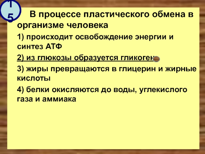 В ходе какого процесса. Пластический обмен это процесс. В процессе пластического обмена в организме человека. Что происходит в организме человека в процессе пластического обмена. Пластический обмен в организме человека.