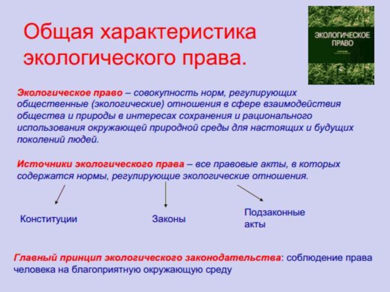 Экологическое право план по обществознанию 10 класс