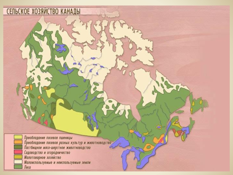 Ресурсный потенциал канада. Сельское хозяйство Канады карта. Специализация сельского хозяйства Канады карта. Сельскохозяйственные районы Канады на карте. Основные сельскохозяйственные районы Канады.