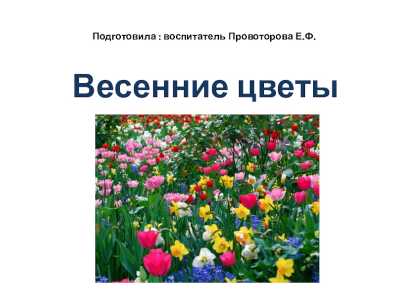 Презентация Весенние цветы