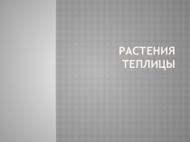Презентация Растения школьной теплицы
