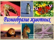 Презентация по окружающему миру на темуРазнообразие животных