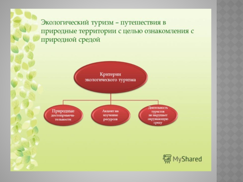 Доклад: Экологический туризм на особо охраняемых природных территориях России проблемы и перспективы