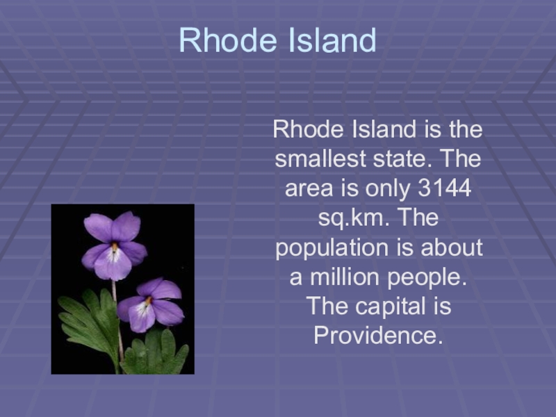 Rhode перевод. Презентация Rhode Island. Smallest State Rhode Island. Сообщение по английскому языку Rhode Island. Rhode Island topic 6 класс.