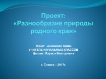 Разнообразие природы родного края