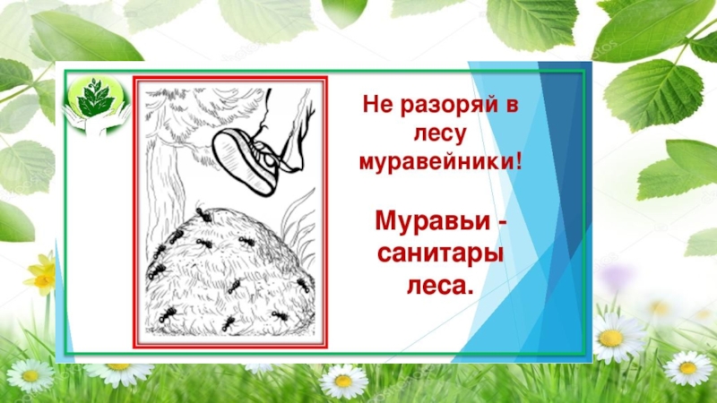 ПРЕЗЕНТАЦИЯ К КЛАССНОМУ ЧАСУ 1 КЛАСС НА ТЕМУ ПРИРОДА И МЫ