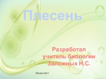 Презентация Условия возникновения плесени