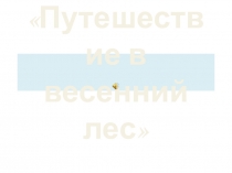 Презентация Путешествие в весенний лес