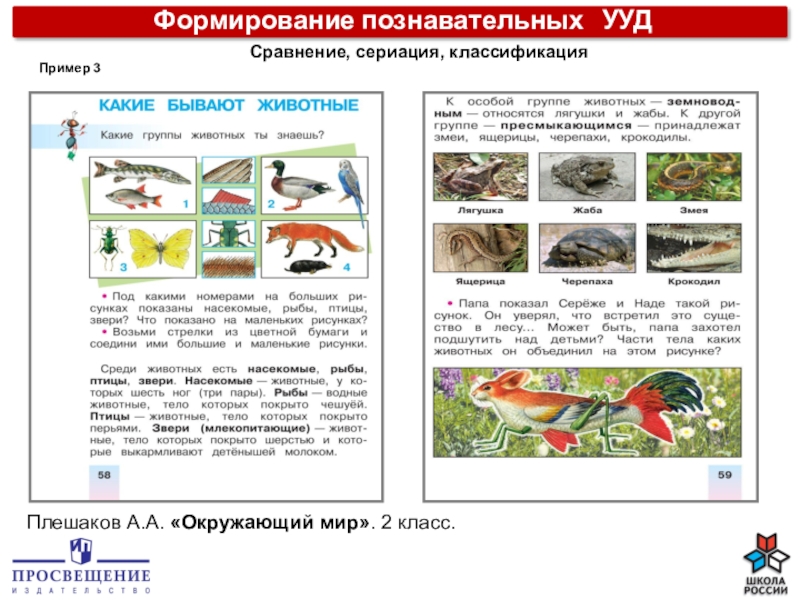 Презентация окружающий мир 4 класс плешаков. Задание Познавательные УУД окружающий мир 2 класс. Познавательные УУД окружающий мир. Познавательные УУД окружающий мир пример. Познавательные УУД по окр миру.