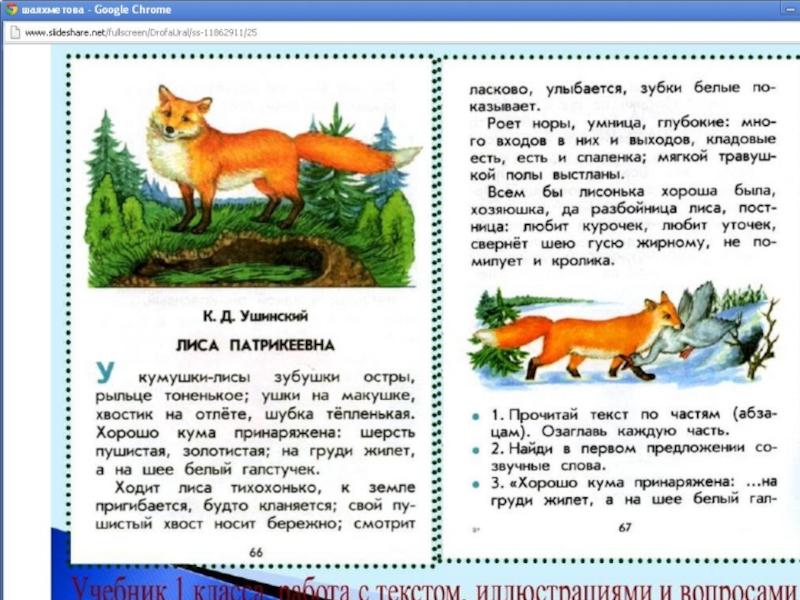 Читаем ушинского тексты. Лиса Патрикеевна Ушинский. Ушинский лиса Патрикеевна текст. Ушинский рассказ лиса Патрикеевна.