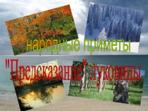 Исследовательская работа Предсказания луковицы (3-5 класс)