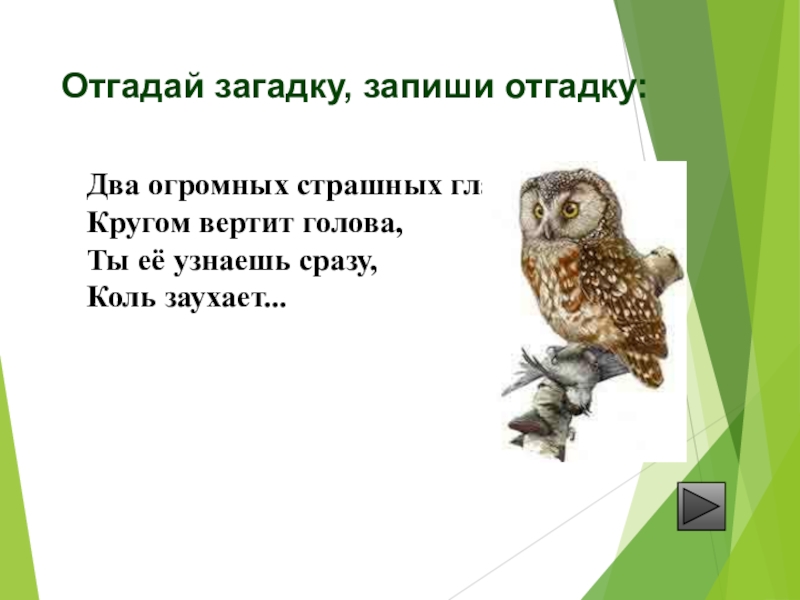 Запишите загадки. Отгадай загадку запиши отгадку. Загадки отгадки на х. Загадка с отгадкой печаль. Отгадай загадки и запиши решение.