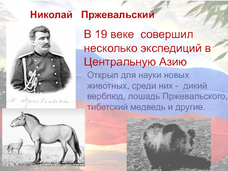 Н м пржевальский исследования. Н М Пржевальский Экспедиция. Пржевальский Уссурийская Экспедиция. Животные Пржевальского открытия.