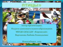 Презентация Эти загадочные птицы
