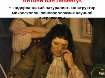 Тип Простейшие. Общая характеристика