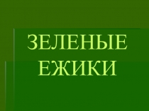 Презентация к исследовательской работе на тему:  Зеленые ежики