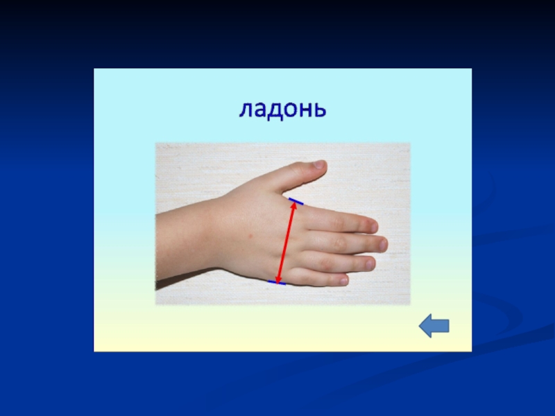 Сантиметр 1 класс урок. Старинные меры длины ладонь. Мера измерения ладонь. Ладонь измерение длины. Ладонь как мера длины.