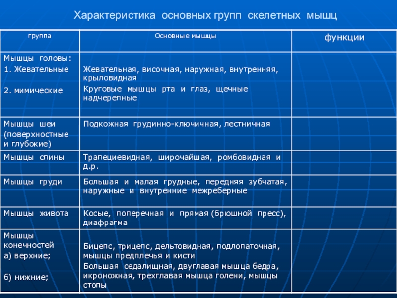 Группы мышц. Основные группы скелетных мышц таблица 8 класс биология. Таблица по биологии 8 класс мышцы функция мышц , примеры мышц, функции. Функции мышц 8 класс биология. Характеристика основных групп скелетных мышц.