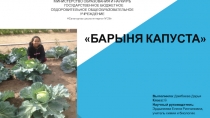 Презентация исследовательской работы Барыня капуста