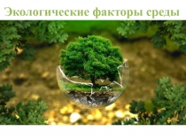 Презентация по биологии 5 класс Экологические факторы